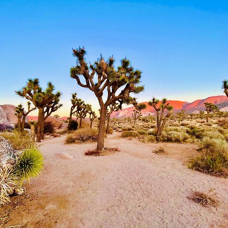 The Joshua Tree House Villa Ngoại thất bức ảnh